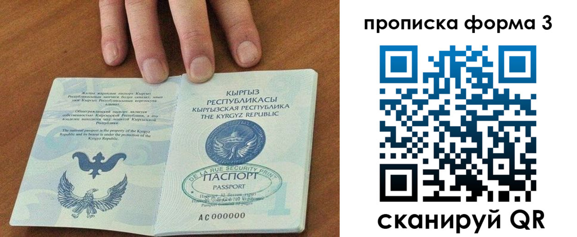 прописка 2025 в Полярных Зорях